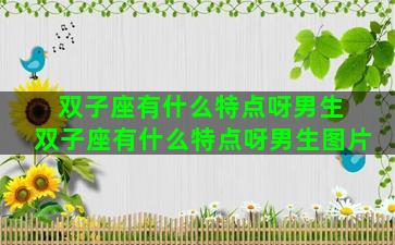双子座有什么特点呀男生 双子座有什么特点呀男生图片